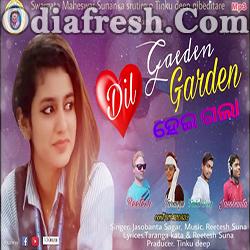 Dil Garden Garden Heigala (Jasobant Sagar) Sambalpuri Song